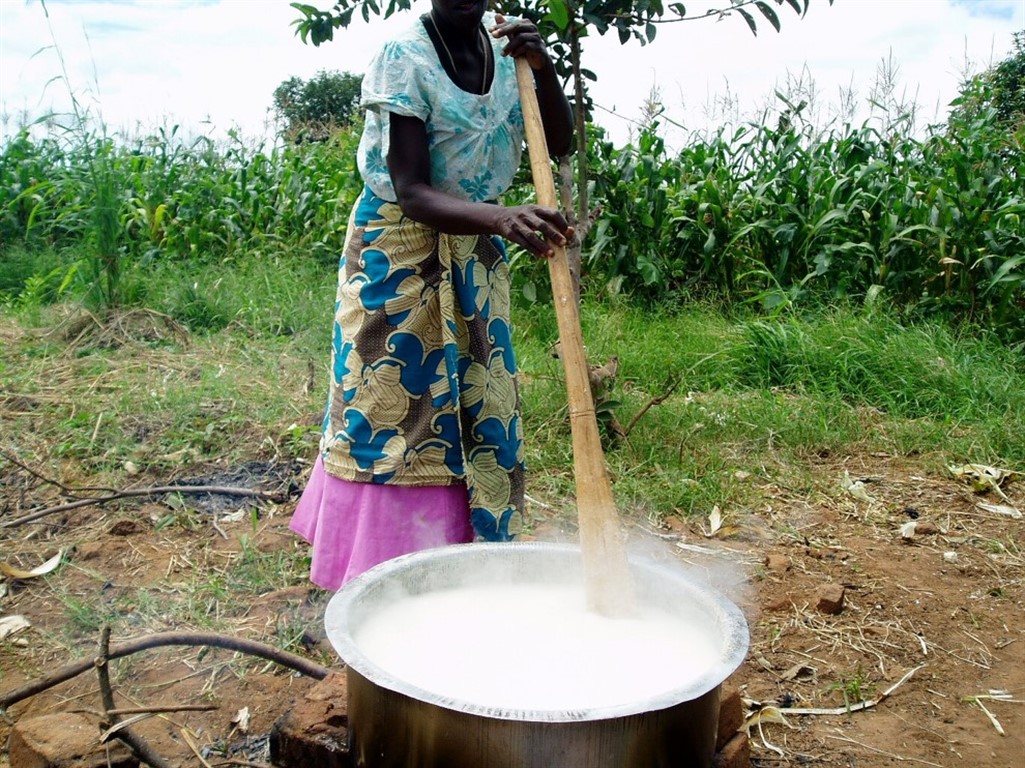 Cooking Maize on Outside Fire